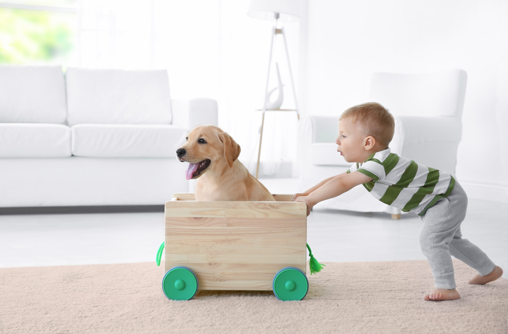 Do Pets Have Positive Effects for Children with Autism Spectrum?