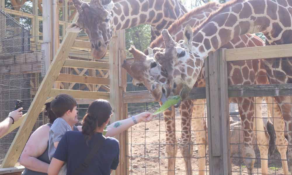 Tackling Behaviors in Public​