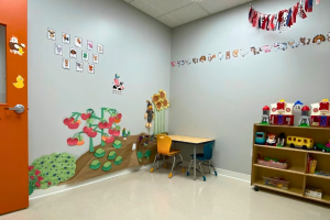 Individual ABA Therapy Room in Mount Lebanon, PA