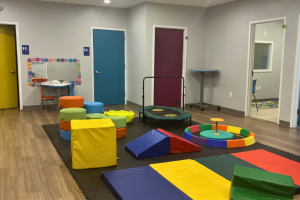 Abington Autism Clinic - Net Room