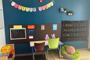 Abington Autism Clinic - Therapy Room