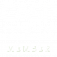 CASP logo